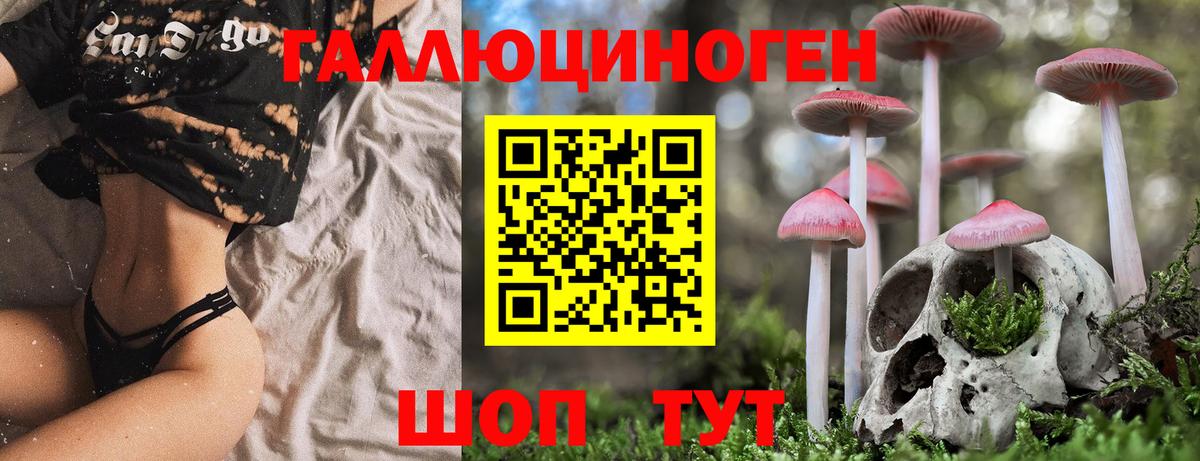 Благодарный  Галлюциногенные грибы мухоморы  Вход с VPN  Псилоцибиновые грибы мухоморы 
